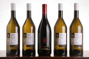 set bottiglie branko new 2011 fondo chiaro
