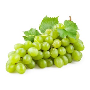 uva-bianca-1