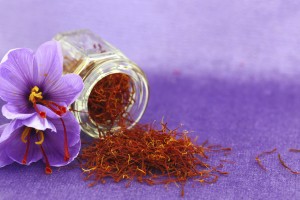 Dried saffron spice and flower