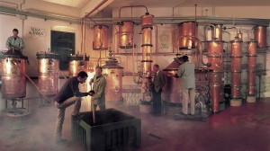 Distilleria