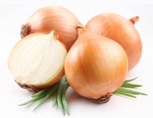 cipolla