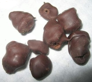 chicche di cioccolato fondente con uva sultanina
