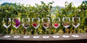Narratori-del-vino_GAL-2013