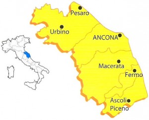 Marche posizione